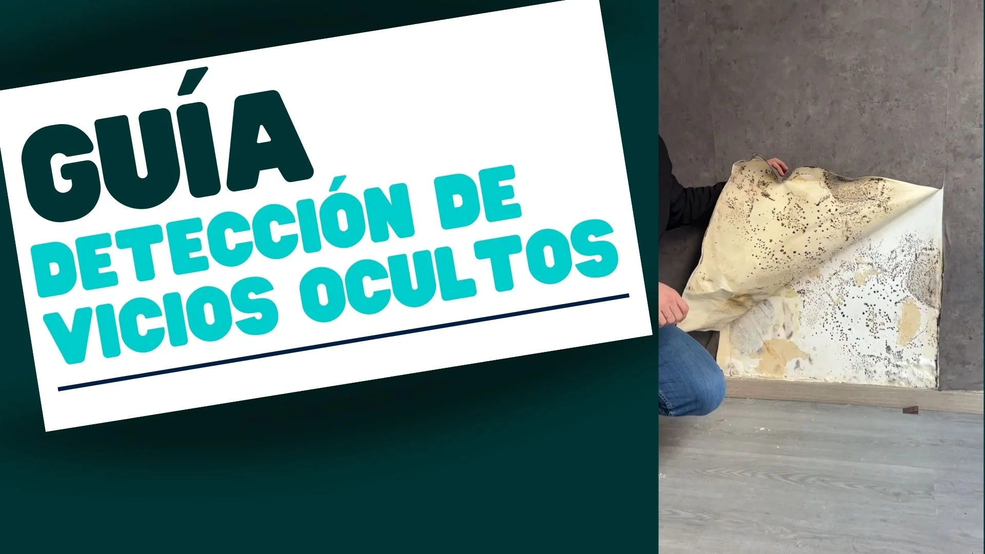 Guía de detección de vicios ocultos